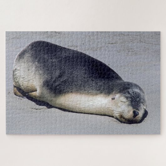 Jonge zeehond die op het strand slaapt - Australië Legpuzzel (Horizontaal)