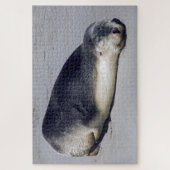 Jonge zeehond die op het strand slaapt - Australië Legpuzzel (Verticaal)