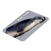 Jonge zeehond die op het strand slaapt - Australië Magneet (Linkerzijde)