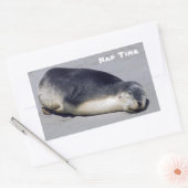 Jonge zeehond die op het strand slaapt - Australië Rechthoekige Sticker (Envelop)