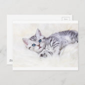 Jonge zilvervlekkige kat op de schaap briefkaart (Voorkant / Achterkant)