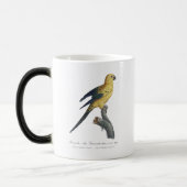 Jonge Zonnekonkoor (Aratinga solstitialis) Magische Mok (Links)