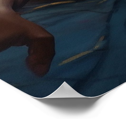 Jonge zwarte ballerina in rust poster (Hoek)