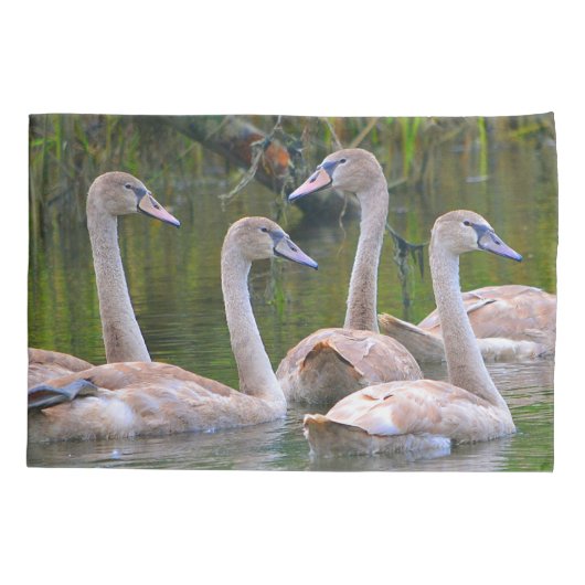 Jonge zwemmen kussensloop (Achterkant)