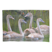 Jonge zwemmen kussensloop (Voorkant)