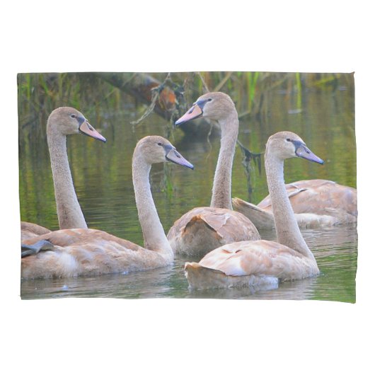 Jonge zwemmen kussensloop (Voorkant)