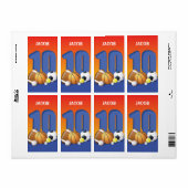 Jongen 10th Birthday Sports Balls Etiket (Full Sheet)