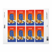 Jongen 6th Birthday Sports Balls Etiket (Full Sheet)