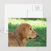 jongen briefkaart (Voorkant / Achterkant)