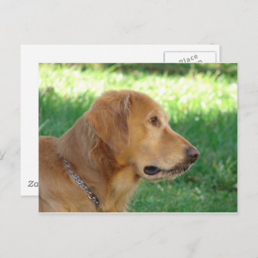 jongen briefkaart (Voorkant / Achterkant)