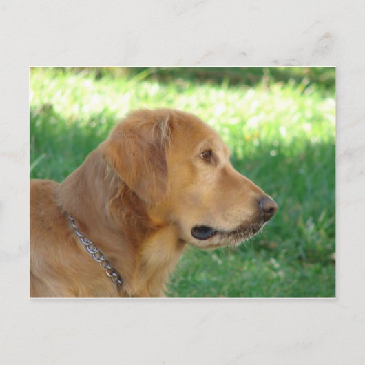 jongen briefkaart (Voorkant)