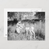 Jongen die antilope voeren briefkaart (Voorkant / Achterkant)