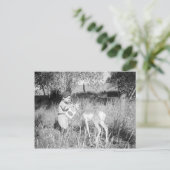 Jongen die antilope voeren briefkaart (Staand voorkant)