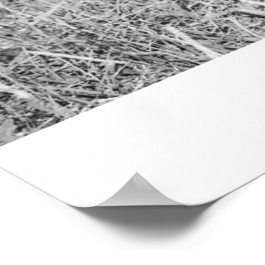 Jongen die antilope voeren poster (Hoek)