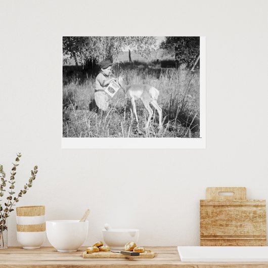 Jongen die antilope voeren poster (Keuken)