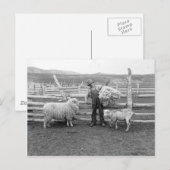 Jongen die een bundel wol vasthouden briefkaart (Voorkant / Achterkant)