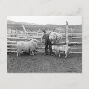 Jongen die een bundel wol vasthouden briefkaart