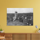 Jongen die katoenfoto's plukken West, Texas Canvas Afdruk (Insitu (Woonkamer))