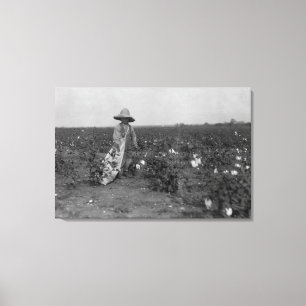 Jongen die katoenfoto's plukken West, Texas Canvas Afdruk