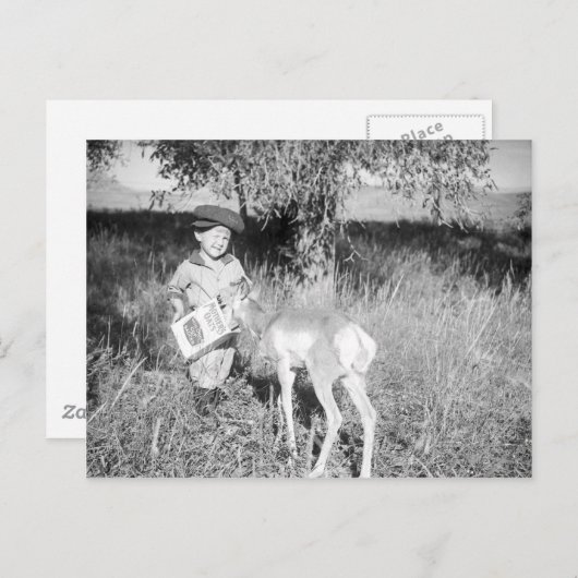 Jongen die met de hand antilopen briefkaart (Voorkant / Achterkant)