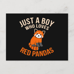 Jongen die van Red Pandas Cute Pet Animal Panda Lo Aankondigingskaart