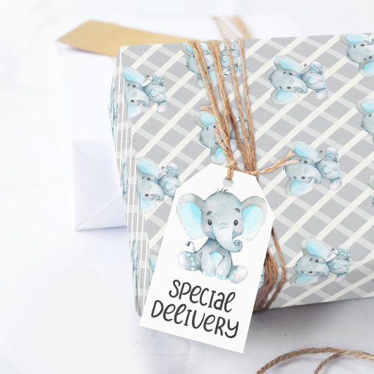 Jongen Elephant Baby shower Wrapping Paper Cadeaupapier