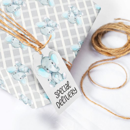 Jongen Elephant Baby shower Wrapping Paper Cadeaupapier