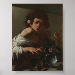 Jongen gebeten door een hagedis poster