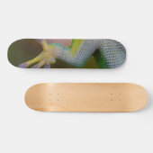Jongen Gecko Skateboard (Horizontaal)