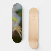 Jongen Gecko Skateboard (Voorkant)