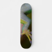 Jongen Gecko Skateboard (Voorkant)