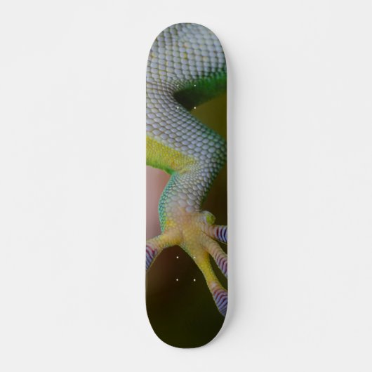 Jongen Gecko Skateboard (Voorkant)