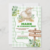 Jongen Groene Lam Eerste Verjaardag Kaart (Voorkant)