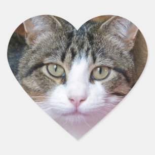 jongen hart sticker