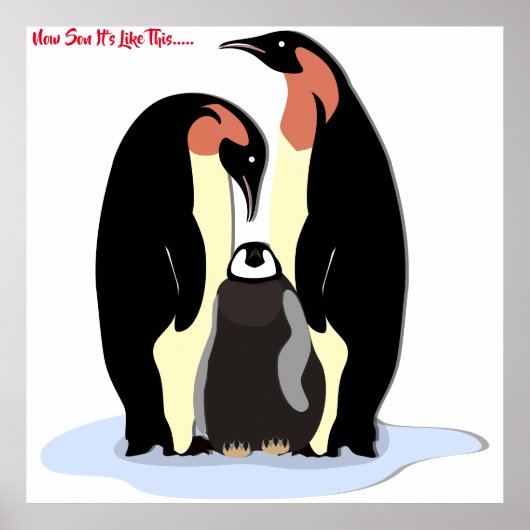 Jongen Het is zoals dit Poster (Voorkant)