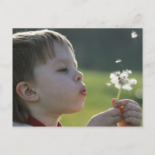 Jongen in dandelion weide. briefkaart