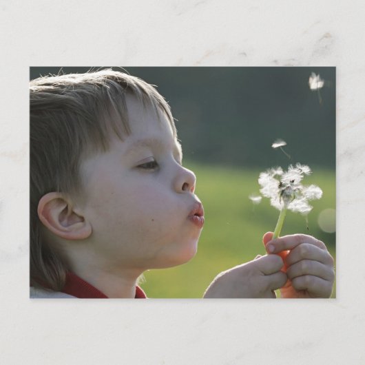 Jongen in dandelion weide. briefkaart (Voorkant)
