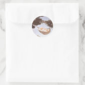 Jongen in Hassoc-boom door Jessie Willcox Smith Ronde Sticker (Tas)