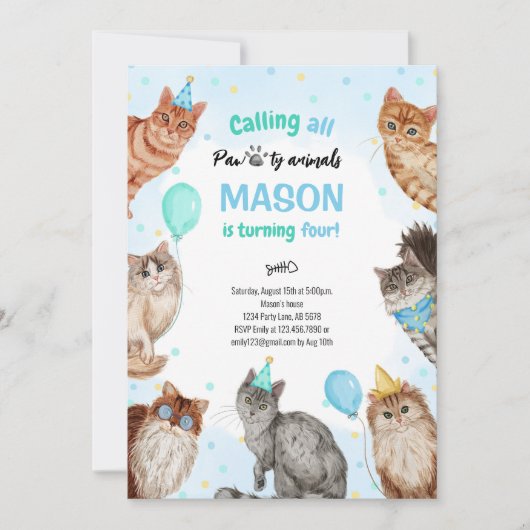 Jongen Kat Pawty Dieren Verjaardag Kaart (Voorkant)