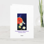 Jongen Meisje tweeling: twee keer gezegend Kaart (Achterkant)