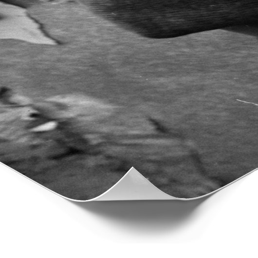 Jongen met gestudeerd dier, 1945 poster (Hoek)