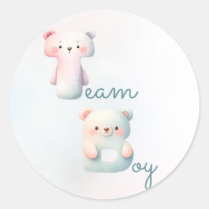 Jongen of Meisje Beer Kleurrijke Geslacht Onthulle Ronde Sticker