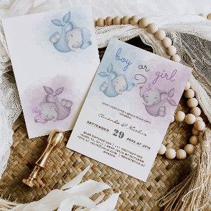 Jongen of Meisje olifant roze blauw geslacht onthu Kaart