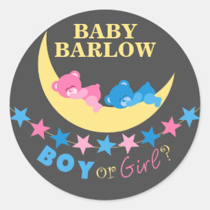 Jongen of Meisje Teddy Bears Op Maan Geslacht Onth Ronde Sticker