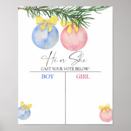 Jongen of meisje we weten geslacht openbaren grafi poster