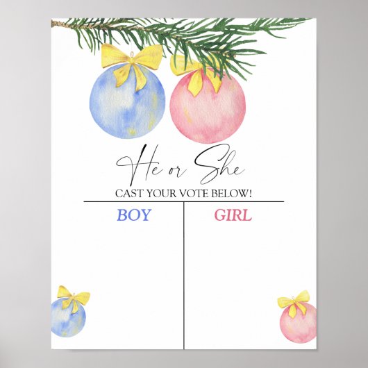 Jongen of meisje we weten geslacht openbaren grafi poster (Voorkant)