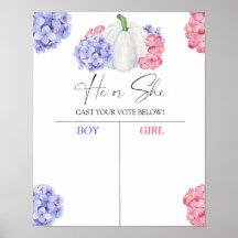 Jongen of meisje wij pompoen weten geslacht openba