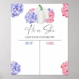 Jongen of meisje wij pompoen weten geslacht openba poster