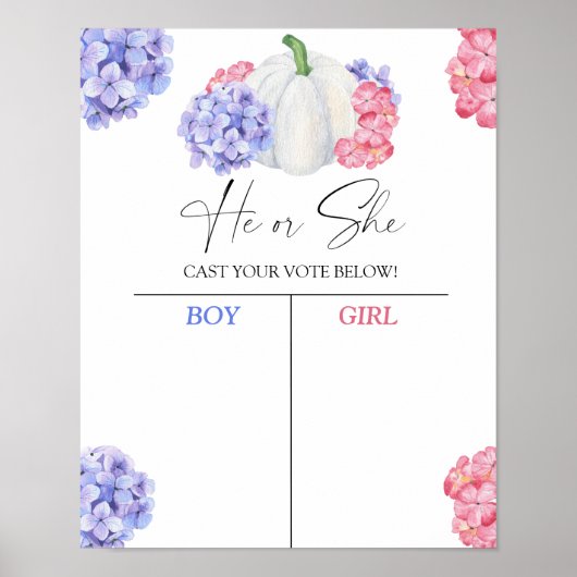 Jongen of meisje wij pompoen weten geslacht openba poster (Voorkant)