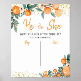 Jongen of meisjes Stembord Genderkwesties onthulle Poster